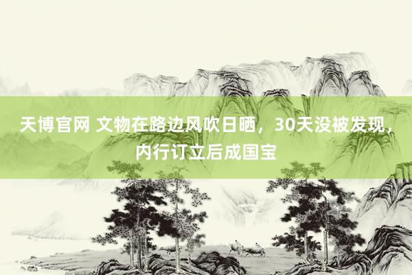 天博官网 文物在路边风吹日晒，30天没被发现，内行订立后成国宝