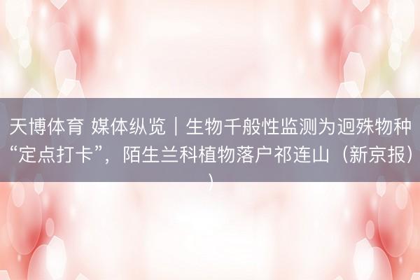 天博体育 媒体纵览｜生物千般性监测为迥殊物种“定点打卡”，陌生兰科植物落户祁连山（新京报）